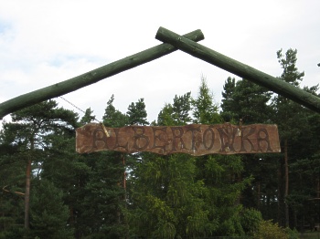  Albertówka 